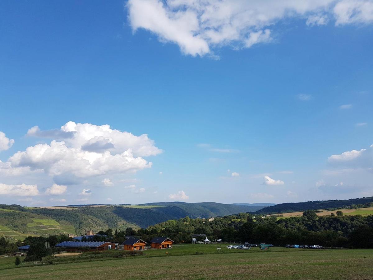 Appartement Rhine Pearl Hideaways à Oberwesel Extérieur photo